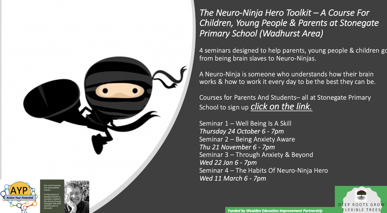 Neuro Ninjas